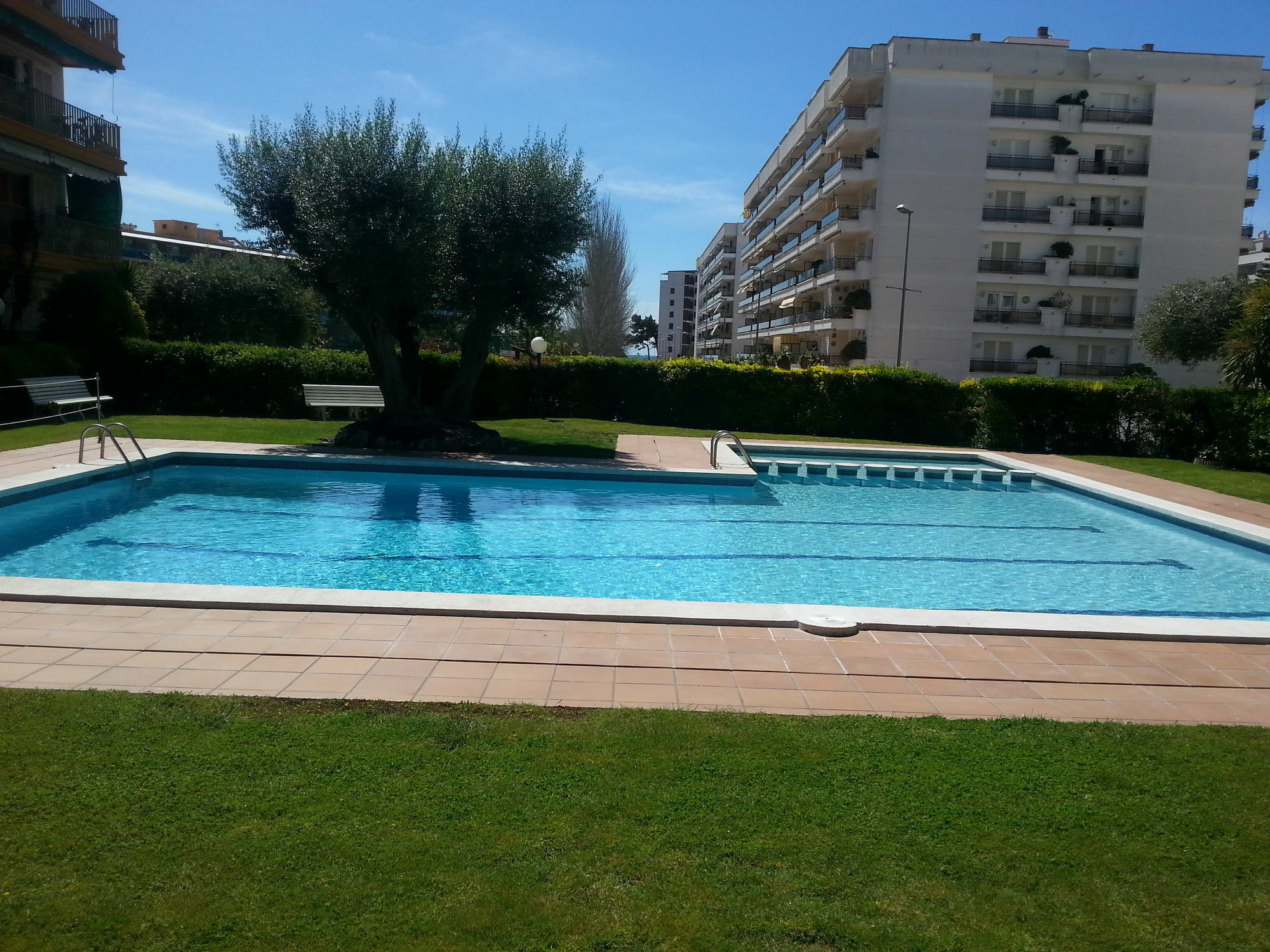 Oliveras Appartement *